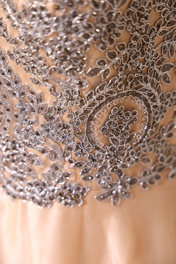 Second Hand Tüllkleid mit silberner Bestickung und V-Ausschnitt, champagner - Dein Kleiderladen